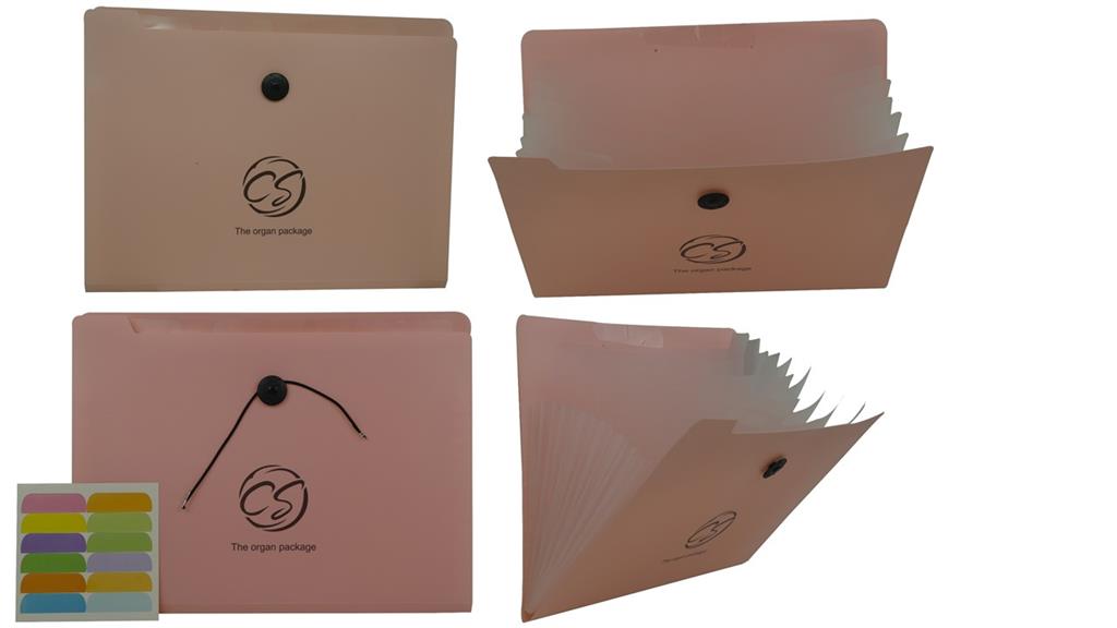 Brainware 8 Compartment Expanding File Organiser Pink